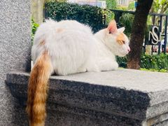 景观位-三人行骨头王火锅(长寿店)