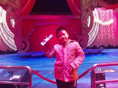 -珠海横琴长隆《卡卡虎奇遇记》