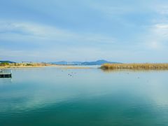 -苏州太湖湖滨国家湿地公园
