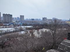 -北山公园