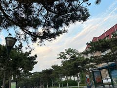 -同道蒸汽海鲜烧烤自助(刘庄夜市店)