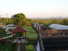 -龙湖东院农庄(乡间小路店)