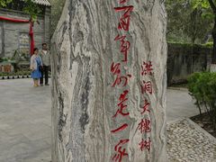 -大槐树寻根祭祖园