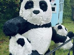 -济州森林小火车生态公园