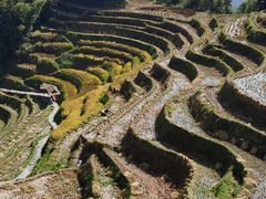 -紫鹊界梯田景区
