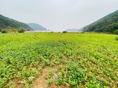 -东海半边山旅游度假区
