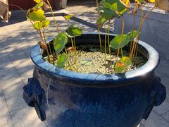 -南京金牛湖风景区