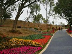 -东莞植物园