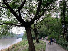 -成都市活水公园