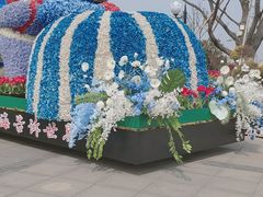 -荷兰花海