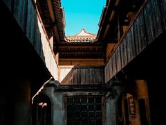 -雁南飞茶田景区