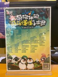 -七巧国萌宠乐园(龙湖天街店)