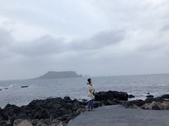 -涉地可支