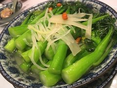-海王老记