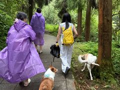-西岭雪山大飞水景区