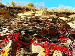 -白草畔自然风景区