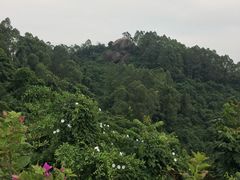 -火炉山森林公园