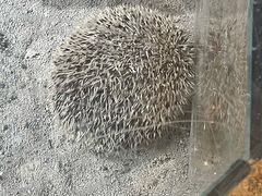 -大连圣亚海洋世界