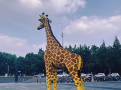 -上海乐高探索中心