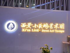 -西安小天鹅艺术团(曲江Alice店)