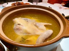 养生土鸡汤-同庆楼(大钟寺店)