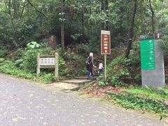 -火炉山森林公园