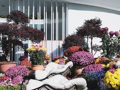 -云溪植物园