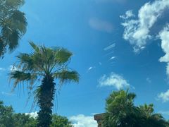 -深圳湾公园(南山区)