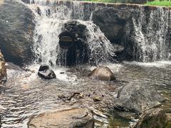 -广州市石门国家森林公园