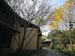 -法云安缦酒店