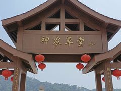 -广州神农草堂中医药博物馆