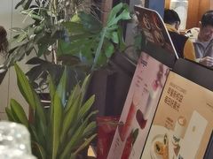 -Wagas沃歌斯(枫蓝国际店)