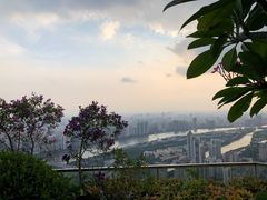 -广州柏悦酒店·悦吧·顶楼露天酒吧