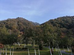 -长安文化生态公园