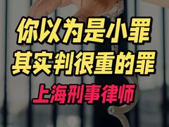 -上海诚本律师事务所·刑事辩护团队