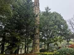 -狼山风景名胜区