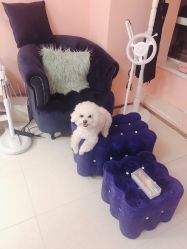 -Pink You美甲美睫纹绣定制中心