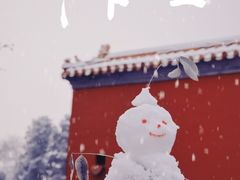 -故宫博物院(故宫)