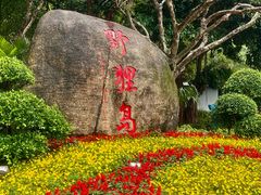 -野狸岛