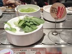 -龍歌自助小火锅(芝罘万达店)