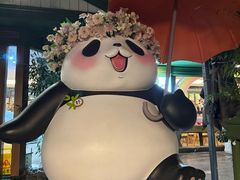 -轩客会(熊猫书店)