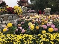 -富乐山