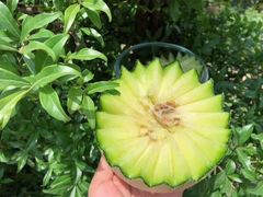 -上海龙吴水胜海发市场