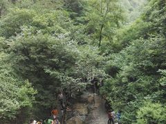 -黄花溪