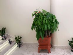 点击看大图 -海涛医疗美容·面部抗衰·注射美鼻