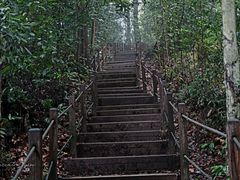 -武吉知马自然保护区