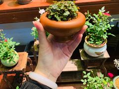 -双季花艺园艺市场(浦东店)
