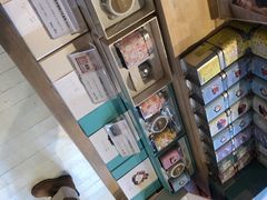 -猫的天空之城概念书店(丽江古城饮玉巷店)