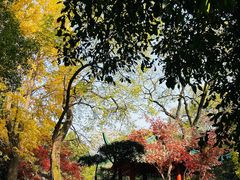-中山公园