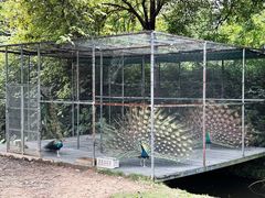 -福建鲤鱼洲酒店